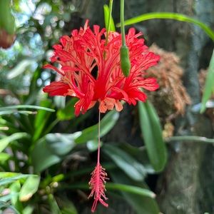 Meet your Posher, Nadya